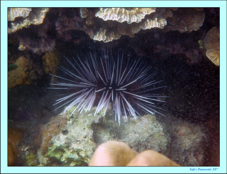 2011 - 03 - Koh Ngai 078